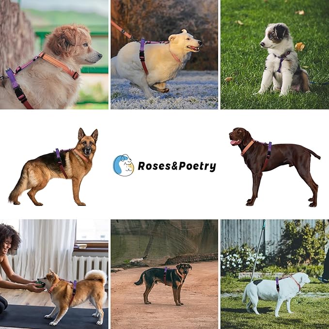 Roses&Poetry Puppy Dog Harness and Leash Set, No Pull Dog Harness Adjustable Reflective, Dog Halter Harnesses Comfort Padded Handle, Pet Harness for Training Outdoor Walking(Mistyrose-XS