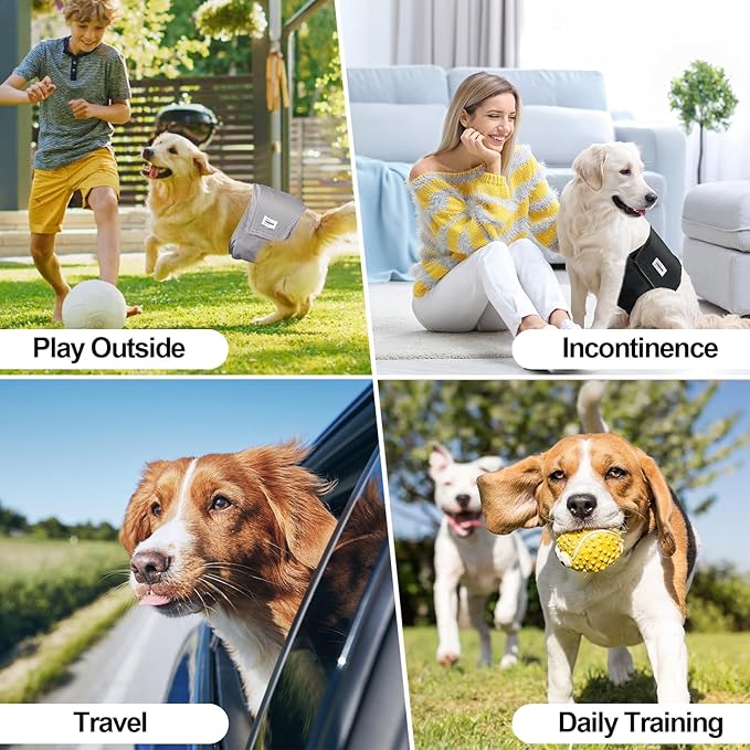 Washable Dog Diapers Male Reusable, Premium Belly Bands for Male Dogs Small, Pack of 3, High Absorbing Small Male Dog Pee Wraps for Doggie in Incontinence or Excitable Urination and Training(S)