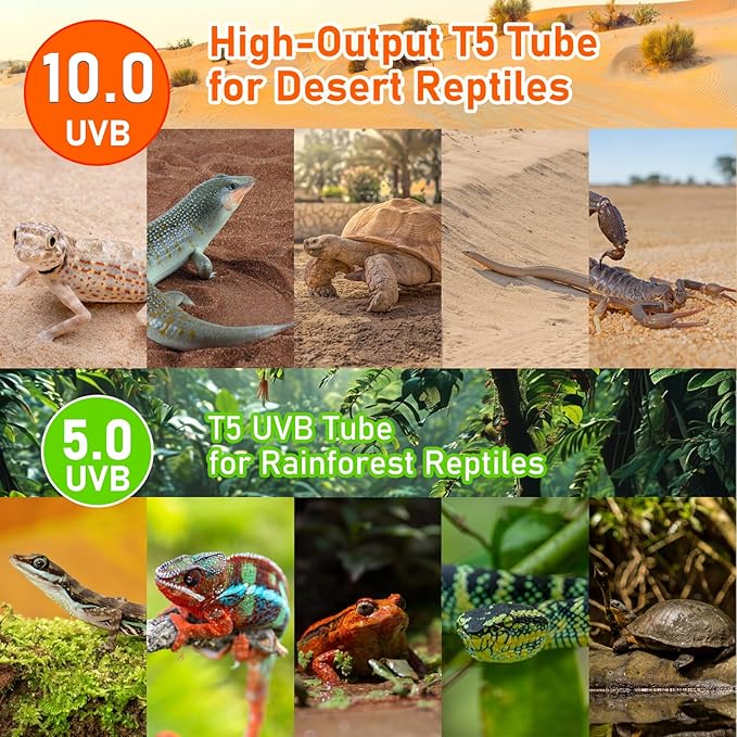 T5 10.0 UVB Reptile Light Fixture, 39W UVA UVB HO Light Bulb for Reptiles,Bearded Dragon, Leopard Gecko,Tortoise, 34" Inch Reptile T5 Tube