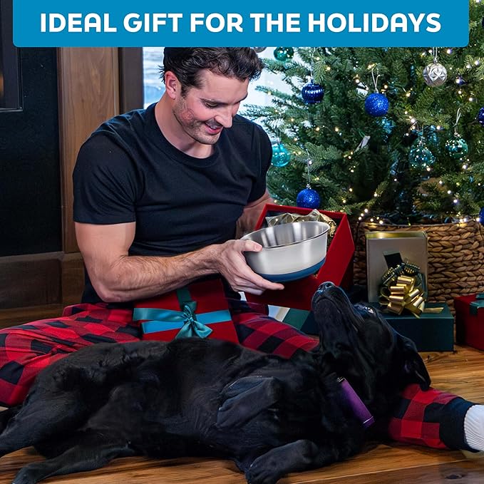 Master Pet Supply Stainless Steel Dog Bowls Set of 2 with Extra Thick Silicone Base - 4 Cup (32 oz) True Blue, Non-Slip, Dishwasher Safe Metal Bowls, Pet Dog Food Bowl for Dogs, Cats, Anti Rust