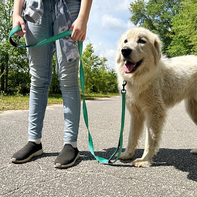 Joytale Dog Leash Heavy Duty for Large Dogs that Pull, Double Handle for Traffic Control, Double-Sided Reflective Leashes for Large Medium Dogs Night Safety, 4FT, Teal