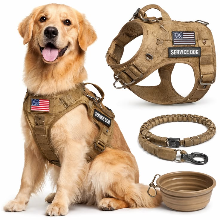 Dog Gearset