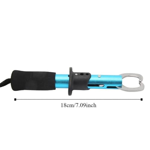 2 Pcs Stainless Steel Fish Lip Gripper - Portable Secure Fish Holder for Freshwater Saltwater Fishing Accessories(Blue) - color: Blue
