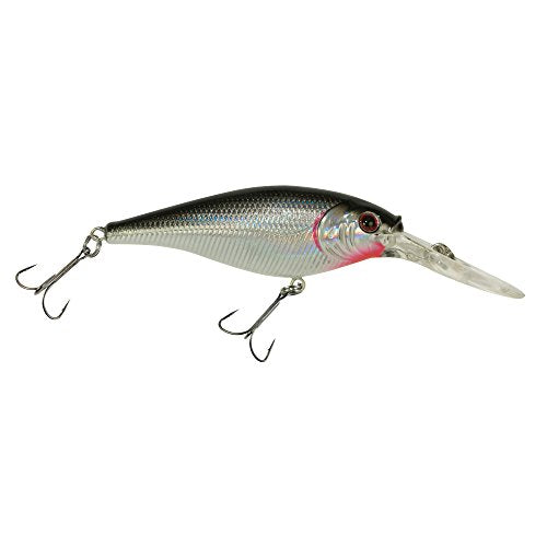 Berkley Flicker Shad Fishing Lure, Black Silver, 1/2 oz, 3 1/2in | 9cm Crankbaits, Size, Profile and Dive Depth Imitates Real Shad, Equipped with Fusion19 Hook - color: Black Silver, size: 3 1/2in - 1/2 oz