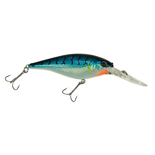 Berkley Flicker Shad Fishing Lure, Blue Tiger, 1/4 oz, 2 1/4in | 6cm Crankbaits, Size, Profile and Dive Depth Imitates Real Shad, Equipped with Fusion19 Hook - color: Blue Tiger, size: 2 1/4in - 1/4 oz