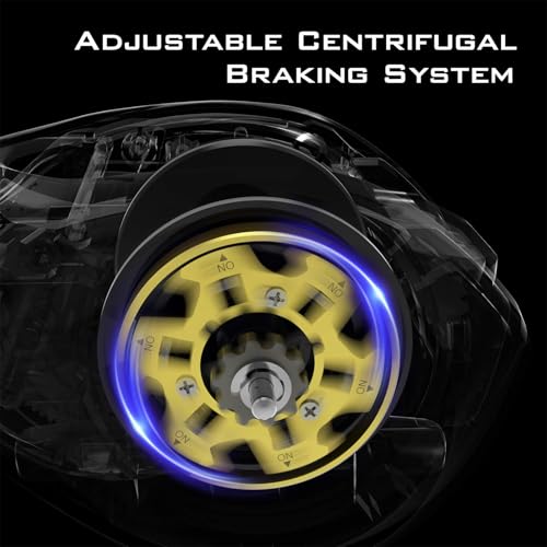 KastKing Kapstan Elite 300 Baitcasting Fishing Reel, Low Profile, Large Capacity Casting Reel, Graphite Frame, 35 lbs. Drag 5.4:1 Ratio, 8+1 Double Shielded/SS BB Centrifugal Braking - color: Right Handed - 5.4:1