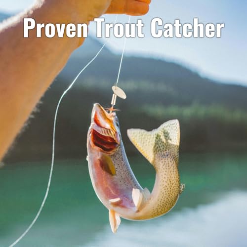 Trout Spinnerbait Lures Inline Rooster Tail Fishing Kit Brass Spinner Baits with Smooth Rotation Flash Blade for Bass Pike Crappie Saltwater Freshwater Lake River 360 Balance Hook - color: 1/4 oz