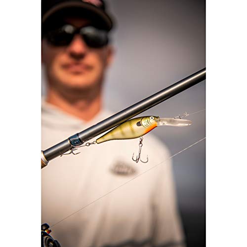 Berkley Flicker Shad Fishing Lure, Black Gold Sunset, 5/16 oz, 2 3/4in | 7cm Crankbaits, Size, Profile and Dive Depth Imitates Real Shad, Equipped with Fusion19 Hook - color: Black Gold Sunset, size: 2 3/4in - 5/16 oz