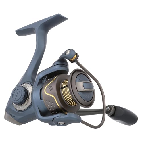 Pflueger President Spinning Fishing Reel - size: 25 - Clam, style: New Model