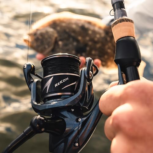 KastKing ReKon Saltwater Spinning Fishing Reel – Up to 55LBs Max Drag Big Game Fishing Reel - Innovative NyliTech Body- Water Resistant - MaxiDur 5+1+1 Corrosion-Resistance Bearing System - size: 4000