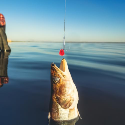 Homoyoyo 200pcs Floating Artificial Corn Baits Carp Fishing Lures Silicone Soft Lures Lifelike Appearance for Pond and Lake Fishing