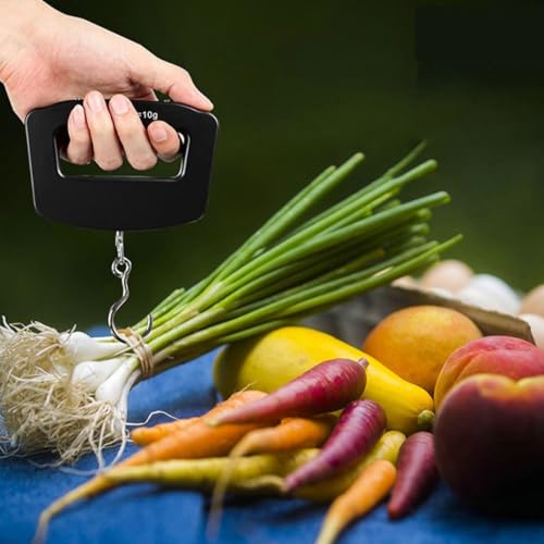 Kisangel Portable Digital Fishing Scale 50kg Capacity Hanging Electronic Weight Scale with LCD Screen for Travel and Luggage Weighing for Outdoor Fishing and Sports
