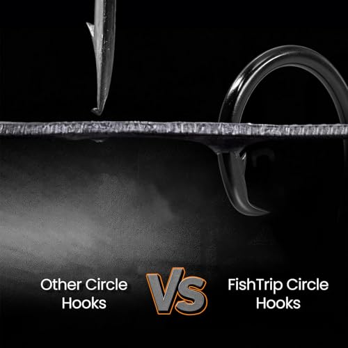 FishTrip 25pcs Inline 5X Strong Circle Hooks, Fishing Hooks for Saltwater | High Carbon Steel, Non-Offset Wide Gap Fish Hook for Catfish, Striped, Bass, Salmon, Mackerel, Tuna Sizes #1-12/0 - size: 2/0_25pcs