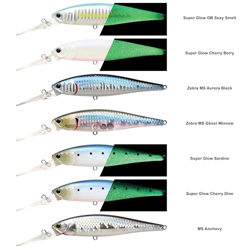 LUCKY CRAFT Pointer 100DD-S, Saltwater Surf Fishing Lures, Jerkbait, Halibut, Surf Perch, Calico Bass, White Seabass, Striped Bass, Sinking, Fishing Gear - color: 711 Super Glow Cherry Berry