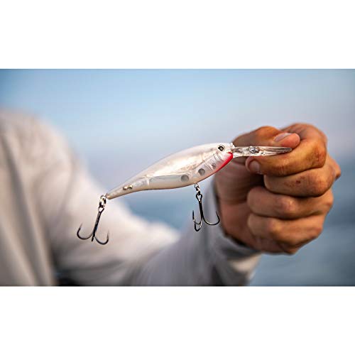 Berkley Flicker Shad Fishing Lure, Black Gold Sunset, 1/4 oz, 2 1/4in | 6cm Crankbaits, Size, Profile and Dive Depth Imitates Real Shad, Equipped with Fusion19 Hook - color: Black Gold Sunset, size: 2 1/4in - 1/4 oz