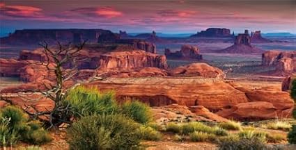 72X24IN Desert Loess Rock Cactus Oasis Reptile Habitat Background, Natural Sunset Desert Themed Terrarium Background, Aquarium Background with 10 EVA Double-Sided Tape