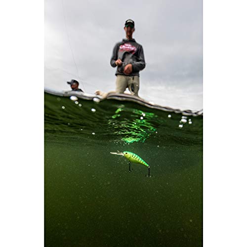 Berkley Flicker Shad Fishing Lure, Black Gold Sunset, 1/4 oz, 2 1/4in | 6cm Crankbaits, Size, Profile and Dive Depth Imitates Real Shad, Equipped with Fusion19 Hook - color: Black Gold Sunset, size: 2 1/4in - 1/4 oz