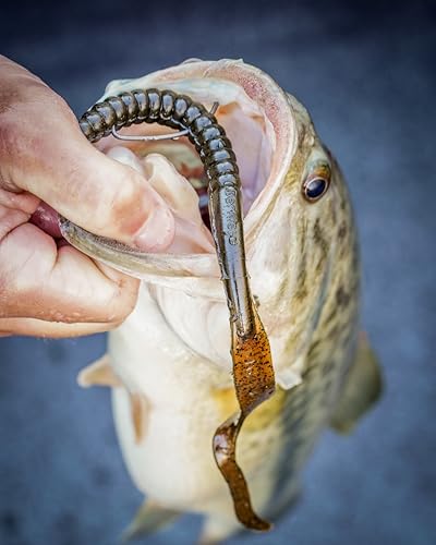 Berkley PowerBait Power Worms Fishing Soft Bait - color: Blue Fleck Firetail, size: 7" (13 Count)