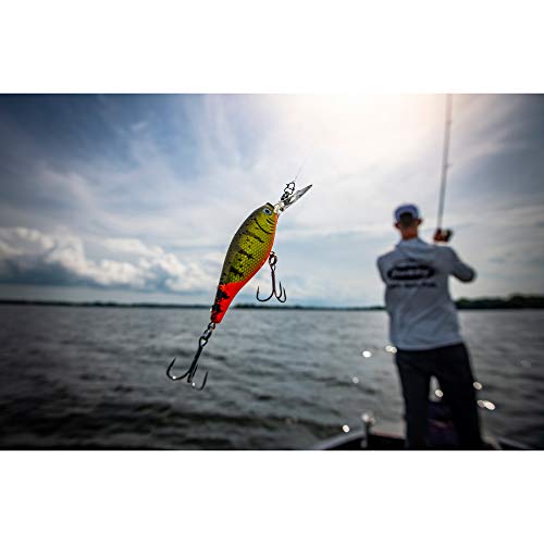 Berkley Flicker Shad Fishing Lure, Blue Smelt, 3/16 oz, 2in | 5cm Crankbaits, Size, Profile and Dive Depth Imitates Real Shad, Equipped with Fusion19 Hook - color: Blue Smelt, size: 2in - 3/16 oz