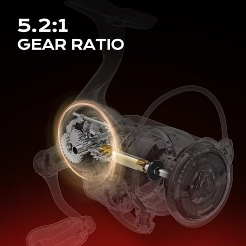 Handing M1 Elite Spinning Reels Fishing Reels Spinning 13.23 Lbs Max Drag Screw-in Handle Slow Oscillation System 5.2:1 Gear Ratio 9+1 Stainless BB Size 1000-4000 - size: Size 4000