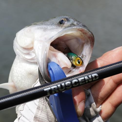TRUSCEND Vibespinner Easy Catch Fishing Lures with BKK Hooks, Tail Spinner Baits with 4 Actions, Vibrating Swimming Flashing & Jigging for More Bites, Spoon Lures for Bass Trout Crappie Walleye Pike - color: C-0.06oz-0.65"