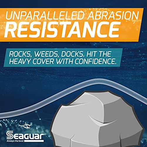 Seaguar Gold Label Fresh & Saltwater Fishing Leader Line, 100% Fluorocarbon - size: 10lb/25yds