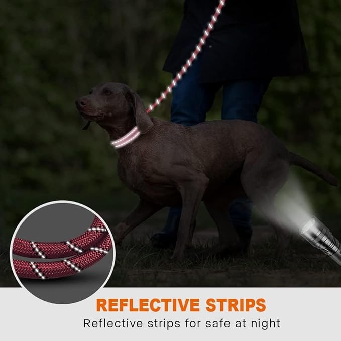 Taglory Rope Dog Leash 6 FT with Comfortable Padded Handle, Highly Reflective Threads Leash and Anti-Tangle Clip for Walking Medium Large Dogs, 1/2 inch, Pink