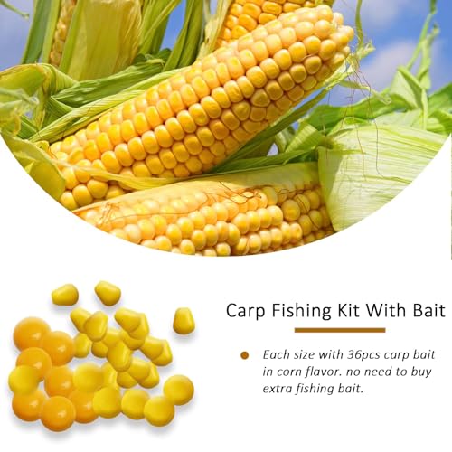 Dovesun Carp Fishing Hair Rigs Carp Fishing Equipment with Baits Hooks Accessories 41PCS/151PCS - color: Size#4-41PCS