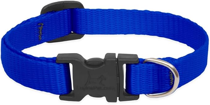 LupinePet Basics 1/2" Blue 8-12" Adjustable Collar for Small Dogs