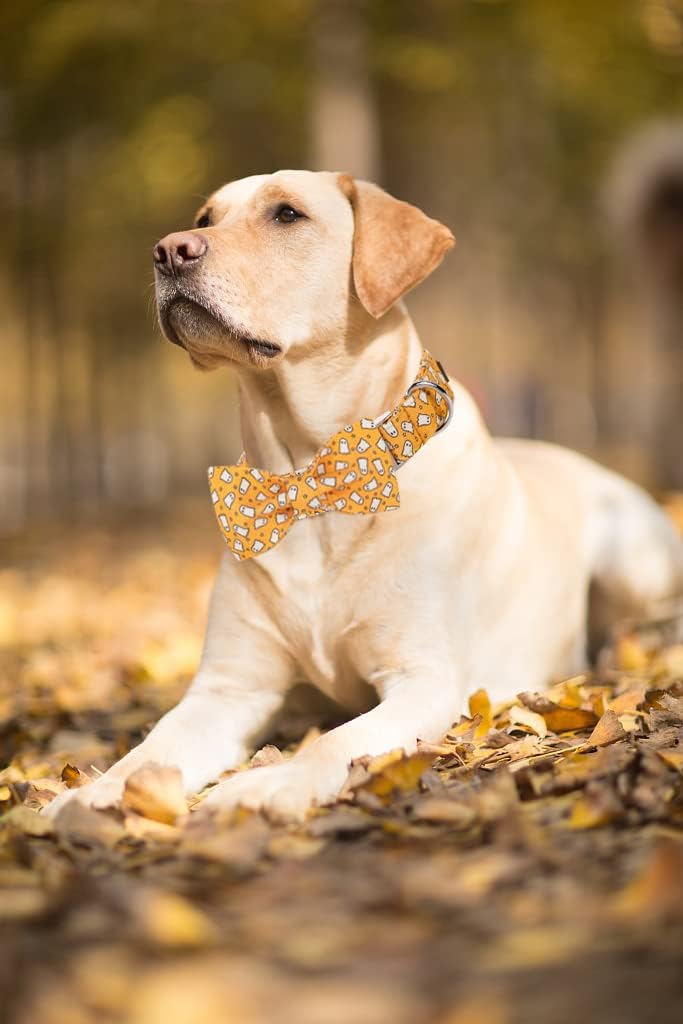 Lionet Paws Halloween Dog Collar with Bowtie - Cute Cotton Adjustable Fall Bowtie Dog Collar with Metal Buckle for Small Medium Large Dog Girl Boy Gift, L, Neck 16-24in