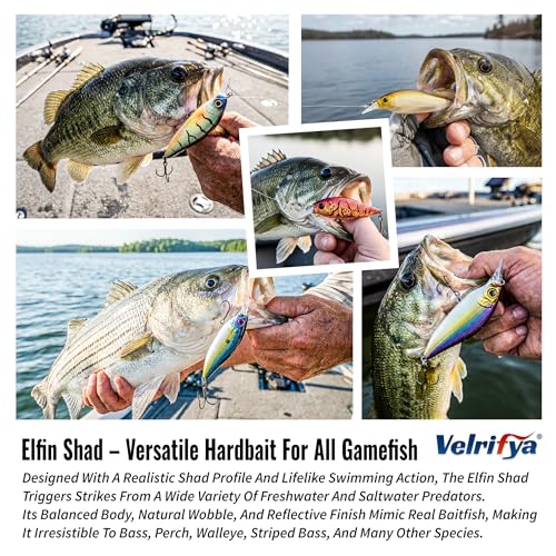Flat Sided Japanese-Style Crankbait Elfin Shad – Medium Diving Bass Fishing Lure, Hard Bait Shad Crankbait for Freshwater Velrifya - color: 01-Fire Craw