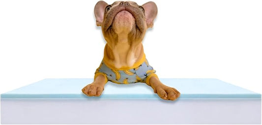 Pet Bed Foam Insert/Dog Bed Pad (3"x32"x40")