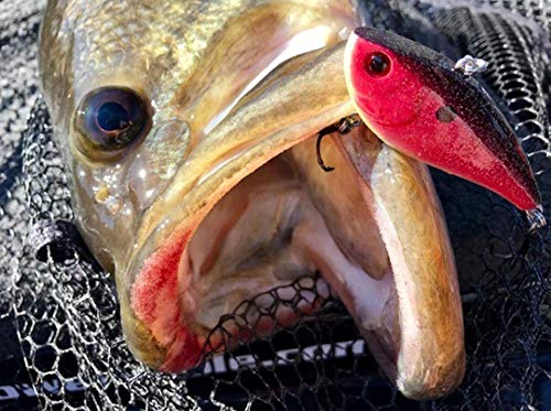 Booyah Hard Knocker Bass Fishing Crankbait Lure - color: Bling