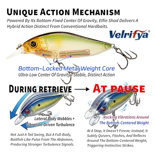 Flat Sided Japanese-Style Crankbait Elfin Shad – Medium Diving Bass Fishing Lure, Hard Bait Shad Crankbait for Freshwater Velrifya - color: 01-Fire Craw