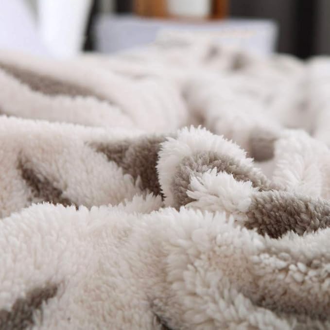 LOMAO Sherpa Fleece Blanket Fuzzy Soft Throw Blanket Dual Sided Blanket for Couch Sofa Bed (Grey, 40"x50")