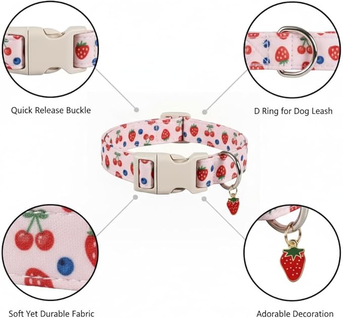 Small Dog Collar, Cute Dog Collar for Puppy, Extra Small & Small Dogs, Strawberry Blueberry Collar for Girl Female Dogs, XS