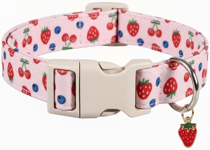 Small Dog Collar, Cute Dog Collar for Puppy, Extra Small & Small Dogs, Strawberry Blueberry Collar for Girl Female Dogs, XS