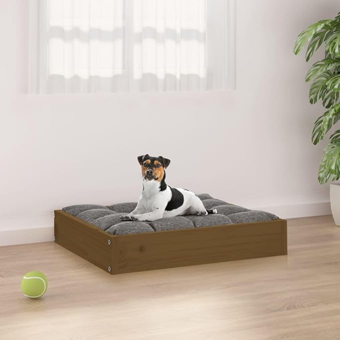 Solid Pine Wood Dog Bed in Warm Honey Brown Finish 20.3 x 17.3 x 3.5 Inches Durable Cozy Pet Resting Space for Small Breeds Indoor Use Minimalist Design
