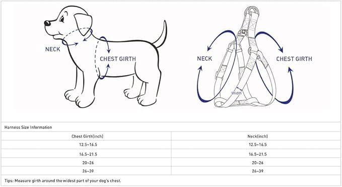 Blueberry Pet Essentials Matching Dog Collar Leash Harness Set in Orange Vermilion, Adjustable Classic Solid Color Nylon Collar with Harness & 5 ft Leash for Small Dogs
