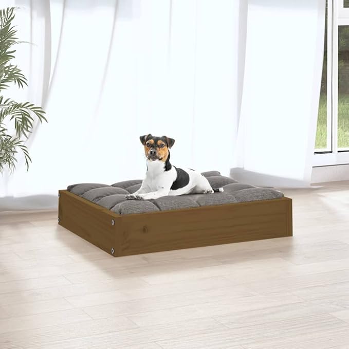 Solid Pine Wood Dog Bed for Small Dogs, Minimalist Rectangular Pet Sleeping Cot, Durable Raised Dog Bed Frame, Honey Brown Finish, 20.3 x 17.3 x 3.5 Inches