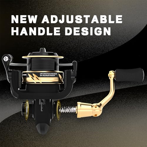 Ashconfish Spinning Fishing Reel, Graphite Body, 7+1 Stainless Steel BB, 5.0:1 Gear Ratio, Lightweight Spinning Reel for Freshwater Saltwater Fishing, Come with 109 yds Braided Line - size: AF4000B