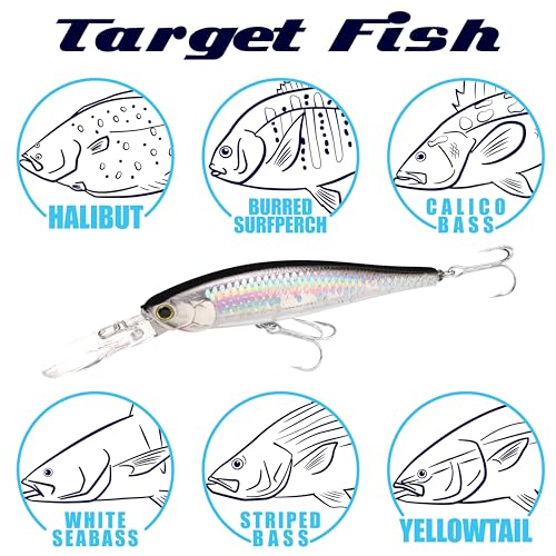 LUCKY CRAFT Pointer 100DD-S, Saltwater Surf Fishing Lures, Jerkbait, Halibut, Surf Perch, Calico Bass, White Seabass, Striped Bass, Sinking, Fishing Gear - color: 711 Super Glow Cherry Berry