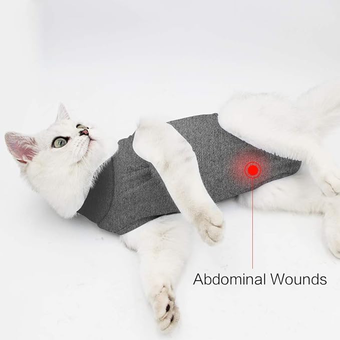 DOTON Cat Recovery Suit for Male and Female Surgical Post Surgery Soft Cone Onesie Shirt Clothes Neuter Licking Protective Diapers Outfit Cover Kitten Spay Collar(S, Grey)
