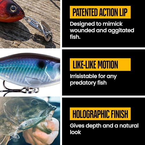 Headbanger Cranky Shad Slow-Sink Hard Lure (2-1/2", 3", 4" & 5") – Patented Erratic “Headbanging” Action Crankbait for Freshwater Bass, Walleye & Perch – 1/3 oz with Premium VMC Hooks - color: Sexy Shad, size: 4"