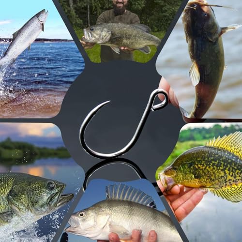 Natufish Inline Single Hooks 25Pcs for Treble Hook Replacement | Fishing Inline Hooks High Carbon Steel Large Eye Sharp Point Corrosion Resistant 8#-5/0# for Hard Lures Saltwater Freshwater - size: 1/0_25pcs