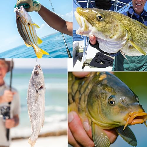 Fishing Weights Sinkers Bank Sinkers Bullet Weights for Surf Fishing Pier Bank Fishing Saltwater Fishing Gear 1oz to 8oz - size: 3/4 Ounce-10pcs