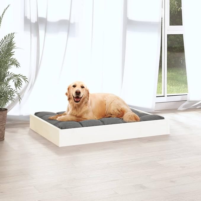 Dog Bed Frame for Small Dogs, Solid Pine Wood Elevated Pet Bed, Modern Minimalist Rectangular Wood Pet Sleeping Platform, 28.1 x 21.3 Inches, White