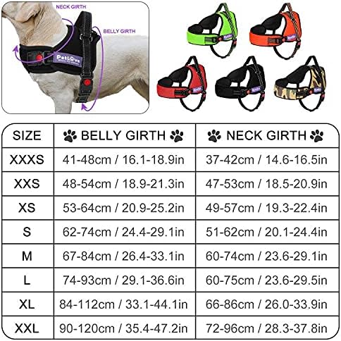 PetLove Dog Harness, Adjustable Soft Leash Padded No Pull Dog Harness for Small Medium Large Dogs, Green