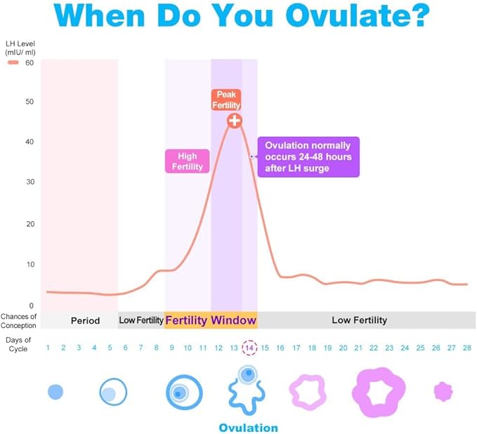 Easy@Home 100 Ovulation Test and 20 Pregnancy Test Strips, FSA Eligible Ovulation Test Kit Powered by Premom Ovulation Predictor Free iOS&Android APP,100LH + 20HCG + 120 Urine Cups-Package May Vary