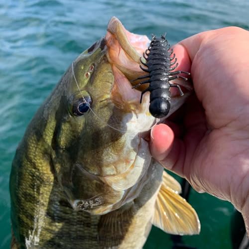 Great Lakes Finesse Juicy Hellgrammite - color: Matte Black